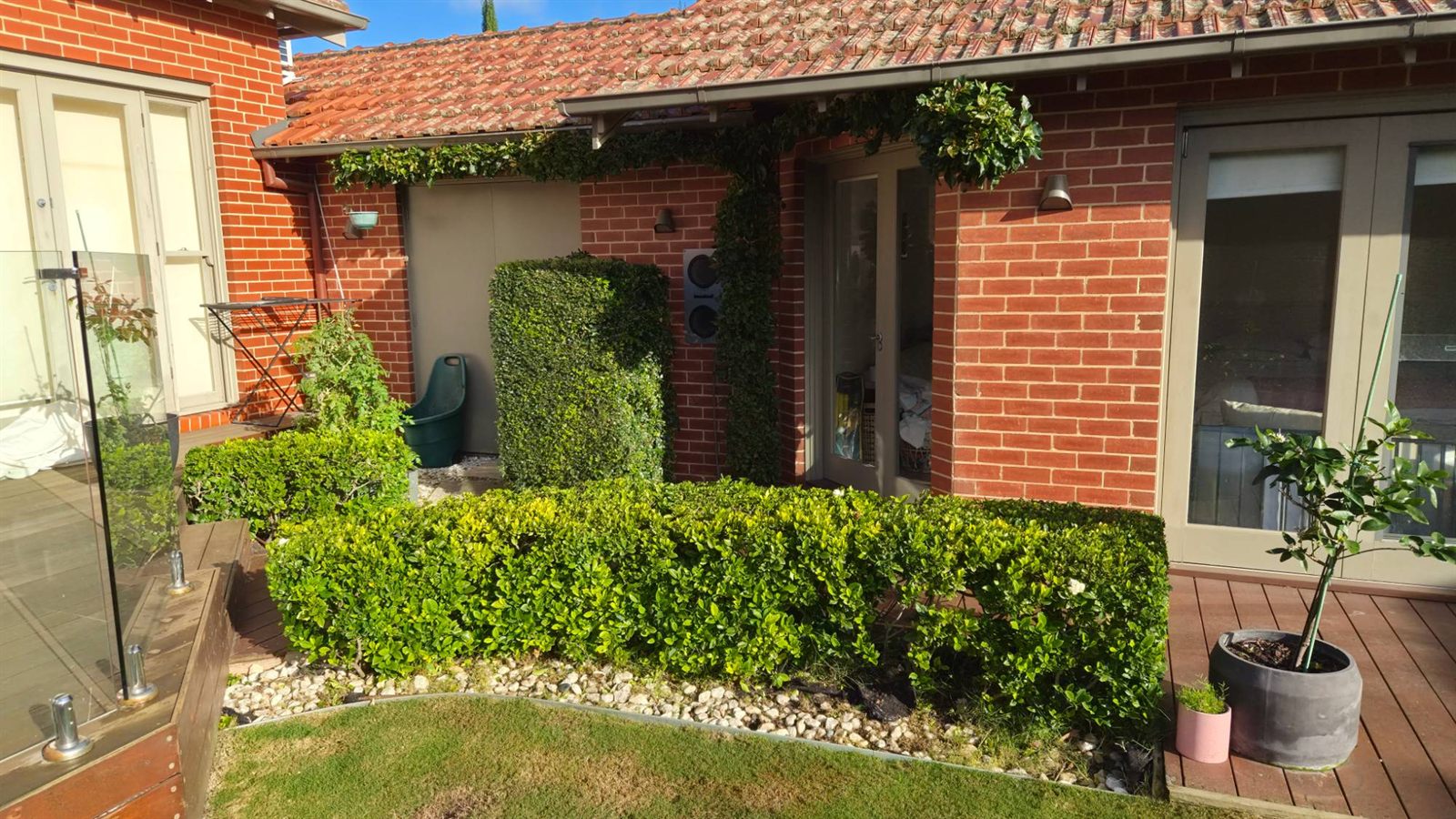 Courtyard hedge trimming in Bayside Melbourne - freshly clipped hedges beside a timber deck